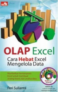 OLAP Excel - Cara Hebat Excel Mengelola Data