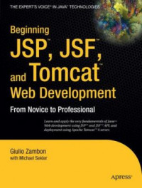 Beginning JSP, JSF and Tomcat web development : from novice to professional
