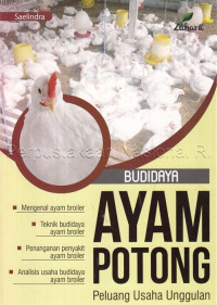 Budidaya Ayam Potong : peluang usaha unggulan