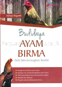 Budidaya Ayam Birma : hobi mendatangkan rezeki