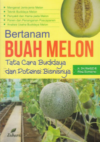 Bertanam Buah Melon : tata cara budidaya dan potensi bisnisnya