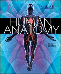 Human Anatomy