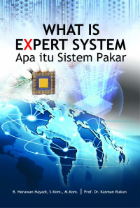 What Is Expert System : Apa Itu Sistem Pakar