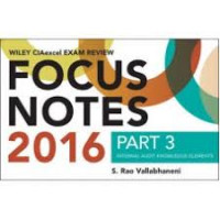 Wiley CIAexcel Exam Review 2016 Focus Notes: Part 3, Internal Audit Knowledge Elements