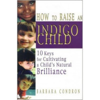 How to raise an indigo child; 10 kunci untuk mengolah kecerdasan anak indigo